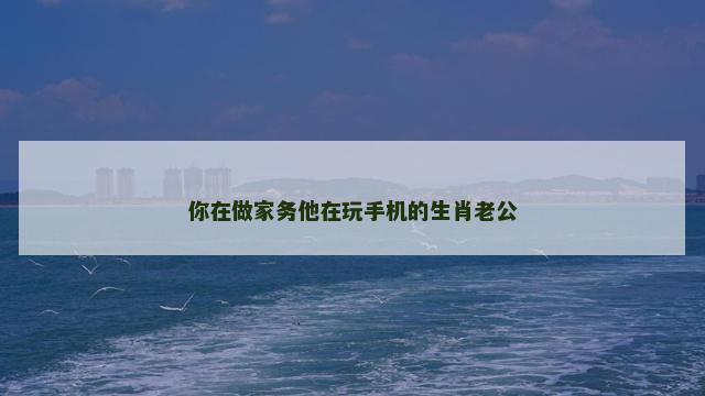 你在做家务他在玩手机的生肖老公