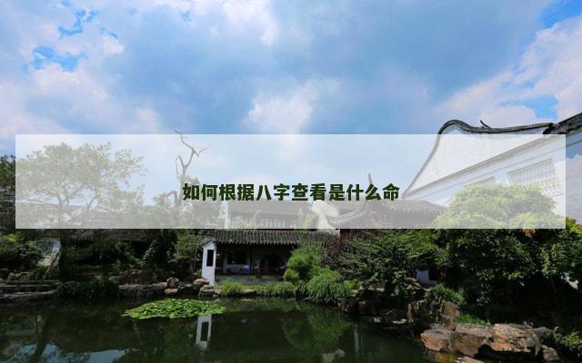 如何根据八字查看是什么命