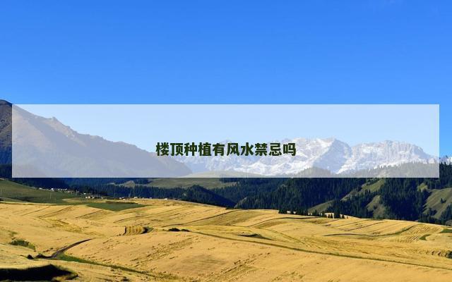 楼顶种植有风水禁忌吗