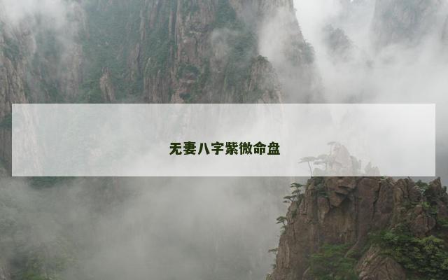 无妻八字紫微命盘