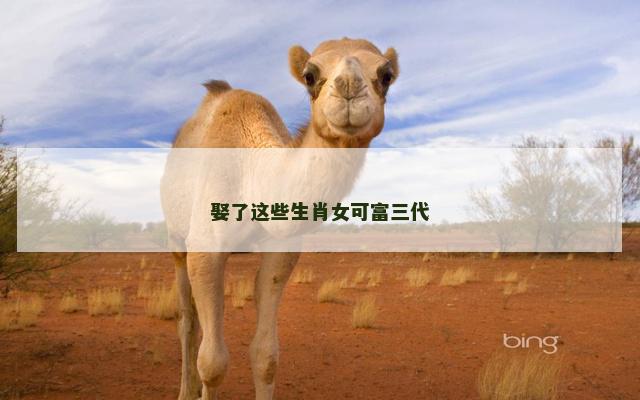 娶了这些生肖女可富三代