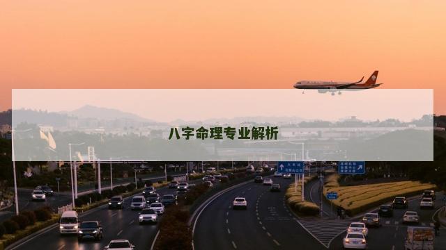 八字命理专业解析
