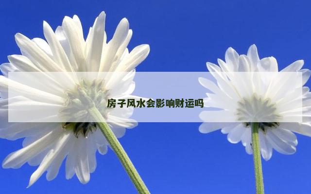 房子风水会影响财运吗