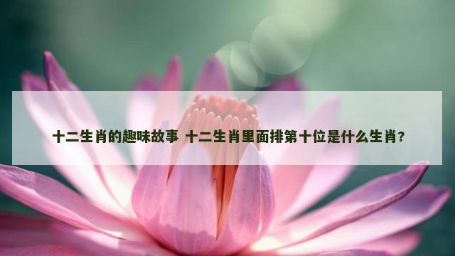 十二生肖的趣味故事 十二生肖里面排第十位是什么生肖?