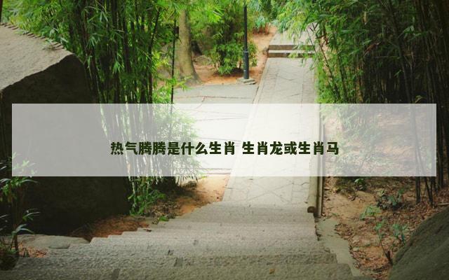 热气腾腾是什么生肖 生肖龙或生肖马