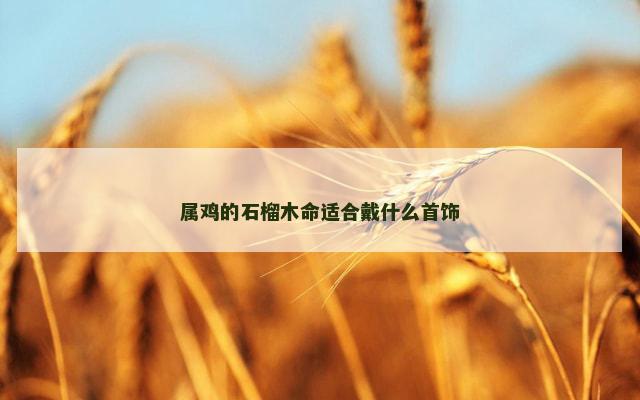 属鸡的石榴木命适合戴什么首饰