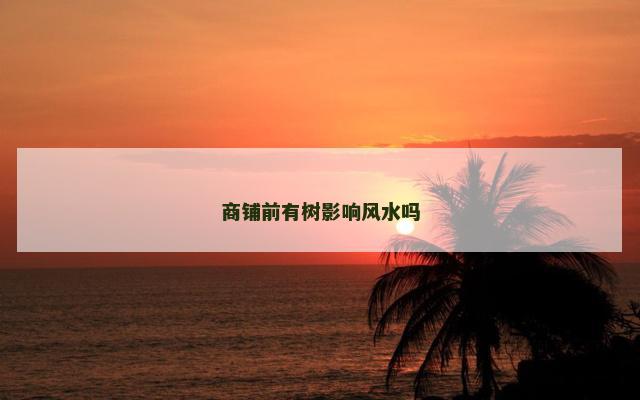 商铺前有树影响风水吗