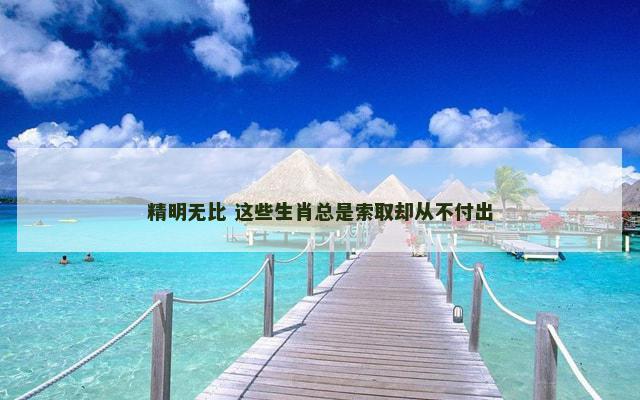 精明无比 这些生肖总是索取却从不付出