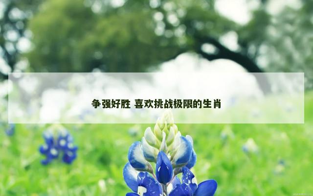 争强好胜 喜欢挑战极限的生肖