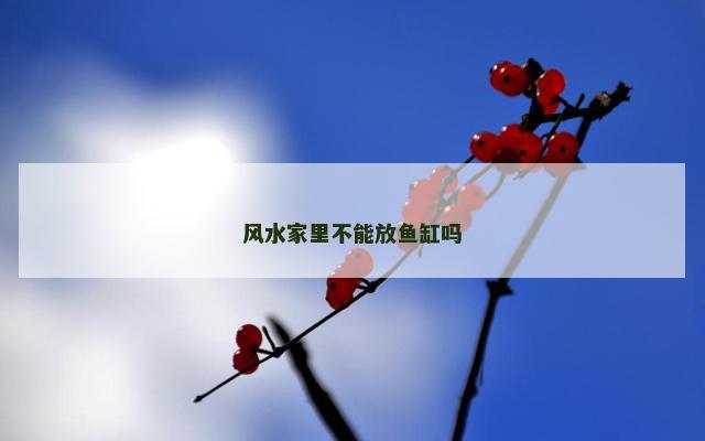 风水家里不能放鱼缸吗