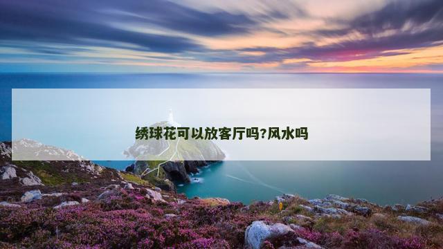 绣球花可以放客厅吗?风水吗