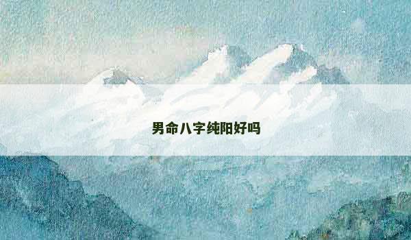 男命八字纯阳好吗