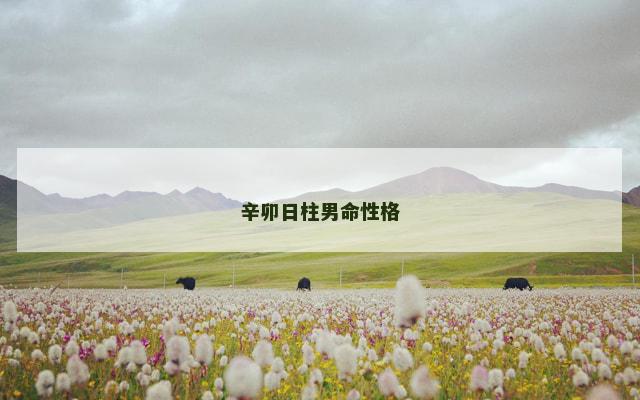 辛卯日柱男命性格