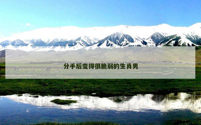 分手后变得很脆弱的生肖男