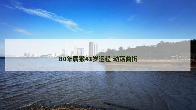 80年属猴41岁运程 动荡曲折
