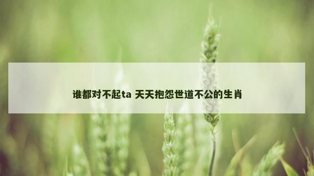 谁都对不起ta 天天抱怨世道不公的生肖
