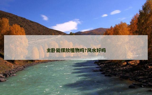 主卧能摆放植物吗?风水好吗