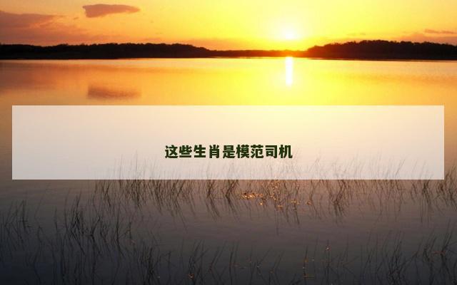 这些生肖是模范司机