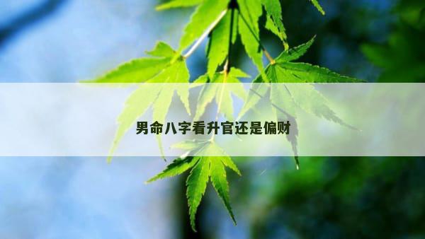 男命八字看升官还是偏财