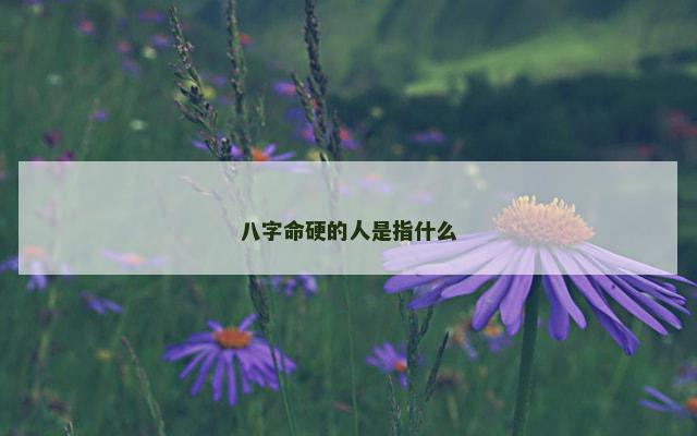 八字命硬的人是指什么