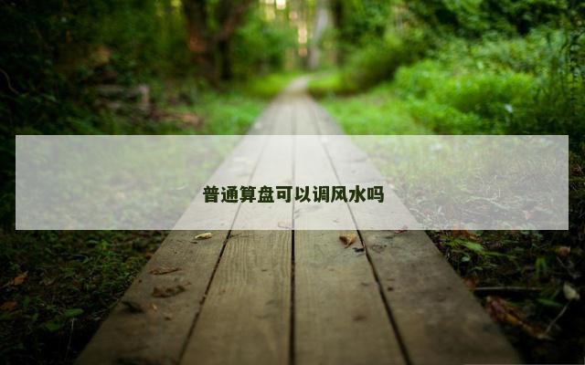 普通算盘可以调风水吗