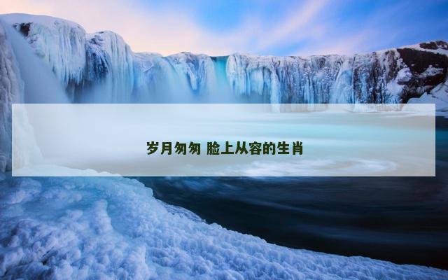 岁月匆匆 脸上从容的生肖