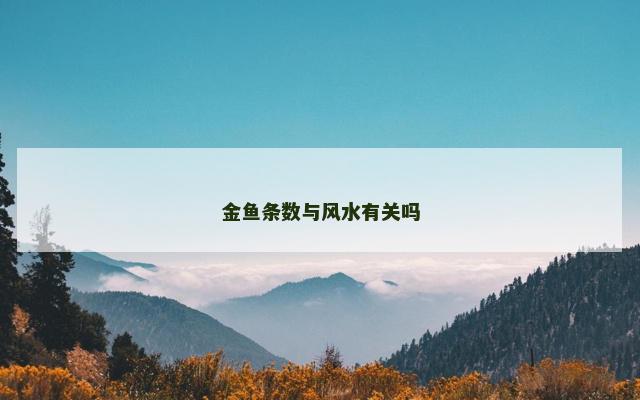 金鱼条数与风水有关吗