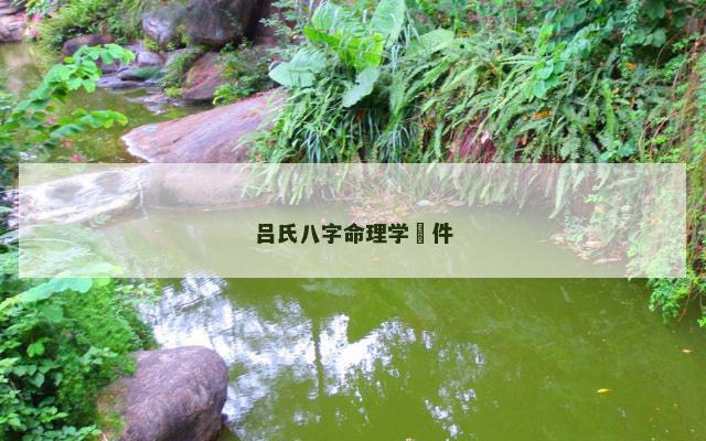 吕氏八字命理学軟件