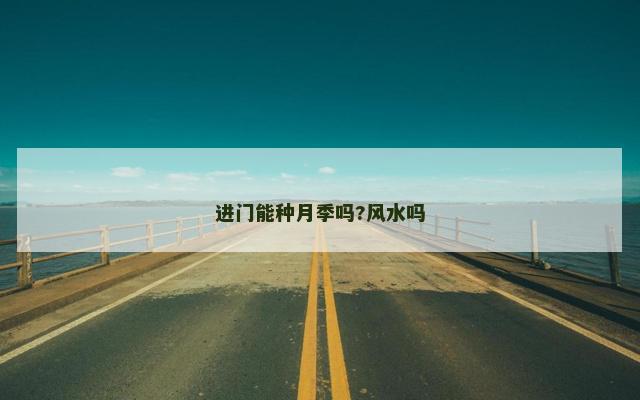进门能种月季吗?风水吗