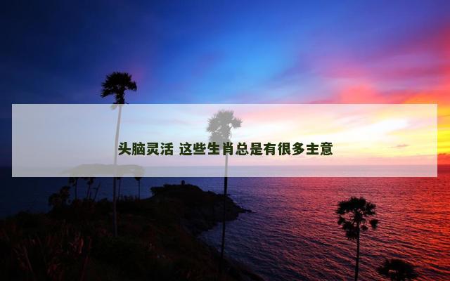 头脑灵活 这些生肖总是有很多主意