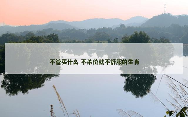 不管买什么 不杀价就不舒服的生肖
