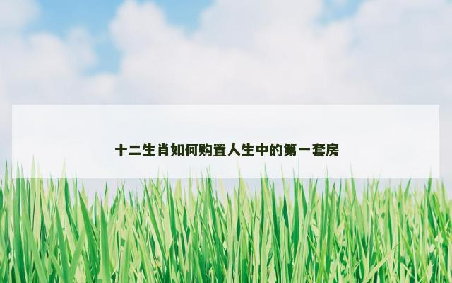 十二生肖如何购置人生中的第一套房