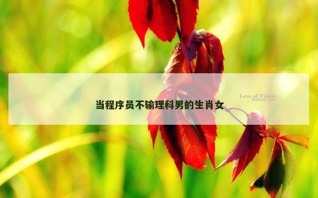 当程序员不输理科男的生肖女