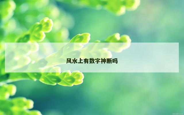 风水上有数字神断吗