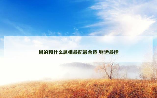 鼠的和什么属相最配最合适 财运最佳