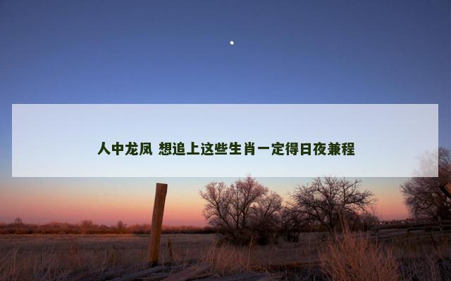 人中龙凤 想追上这些生肖一定得日夜兼程