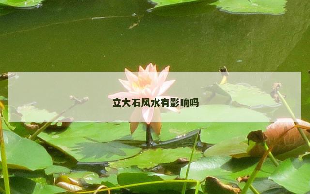 立大石风水有影响吗