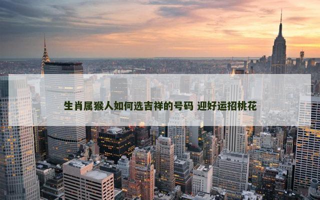 生肖属猴人如何选吉祥的号码 迎好运招桃花
