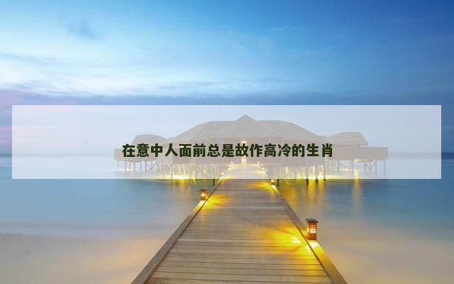 在意中人面前总是故作高冷的生肖