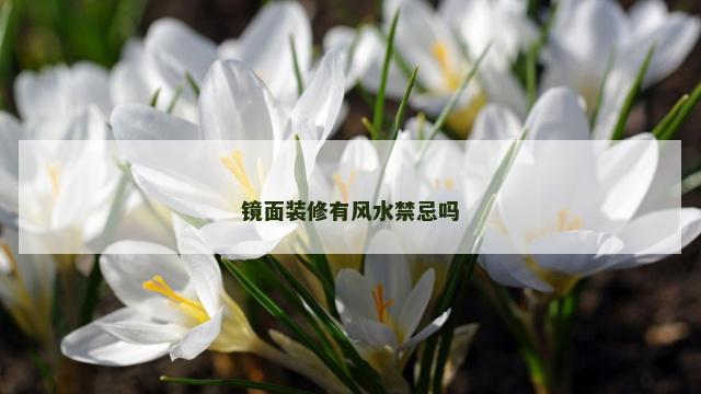 镜面装修有风水禁忌吗