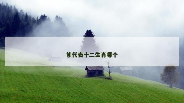 熊代表十二生肖哪个