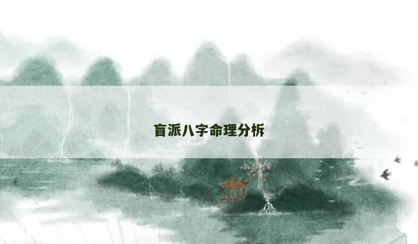 盲派八字命理分柝