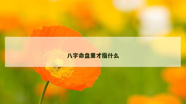 八字命盘里才指什么