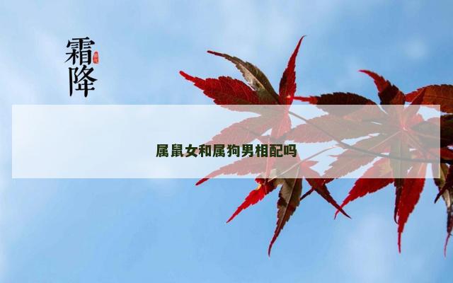 属鼠女和属狗男相配吗