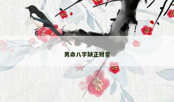 男命八字缺正财星