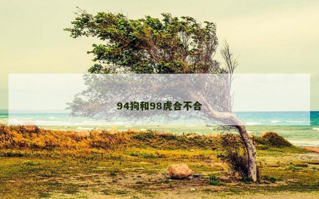 94狗和98虎合不合