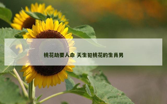 桃花劫要人命 天生犯桃花的生肖男