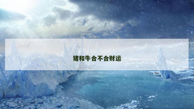 猪和牛合不合财运