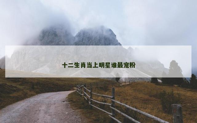 十二生肖当上明星谁最宠粉