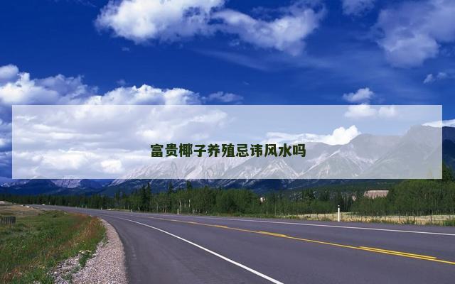 富贵椰子养殖忌讳风水吗